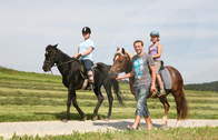 Pferde Familienbauernhof Könighof im Regener Land (Die braven Pferde vom Familienbauernhof Könighof im Regener Land freuen sich immer auf ein bisschen Bewegung.)